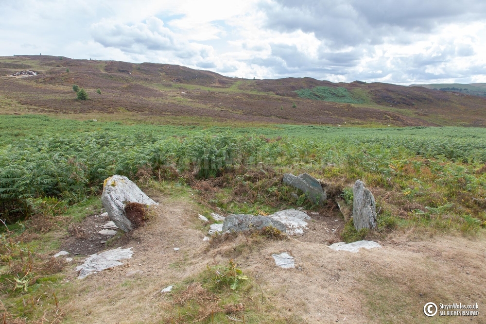 Standing stones Elan Valley