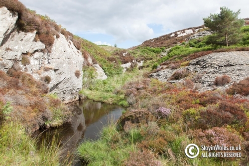 Elan valley stream