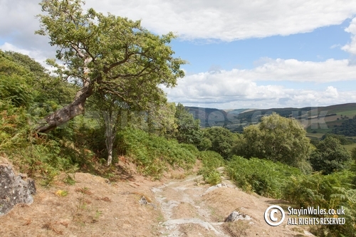 Old Road, Elan Valley