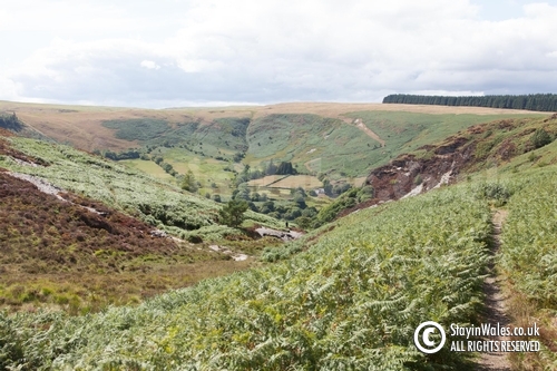 Pant Dolfalau footpath