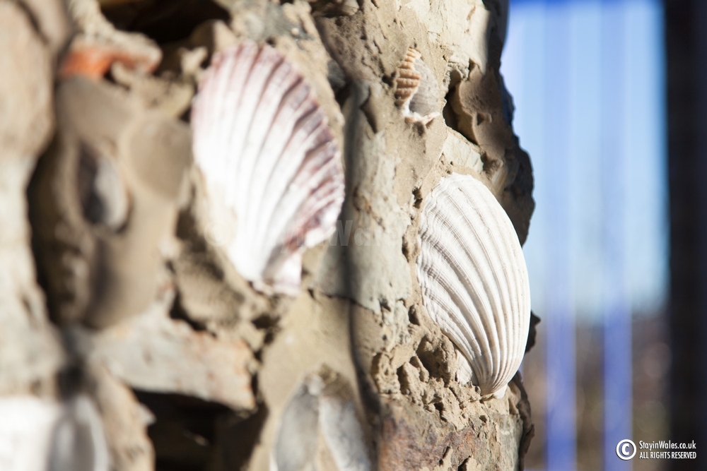 Portmeirion sea shells